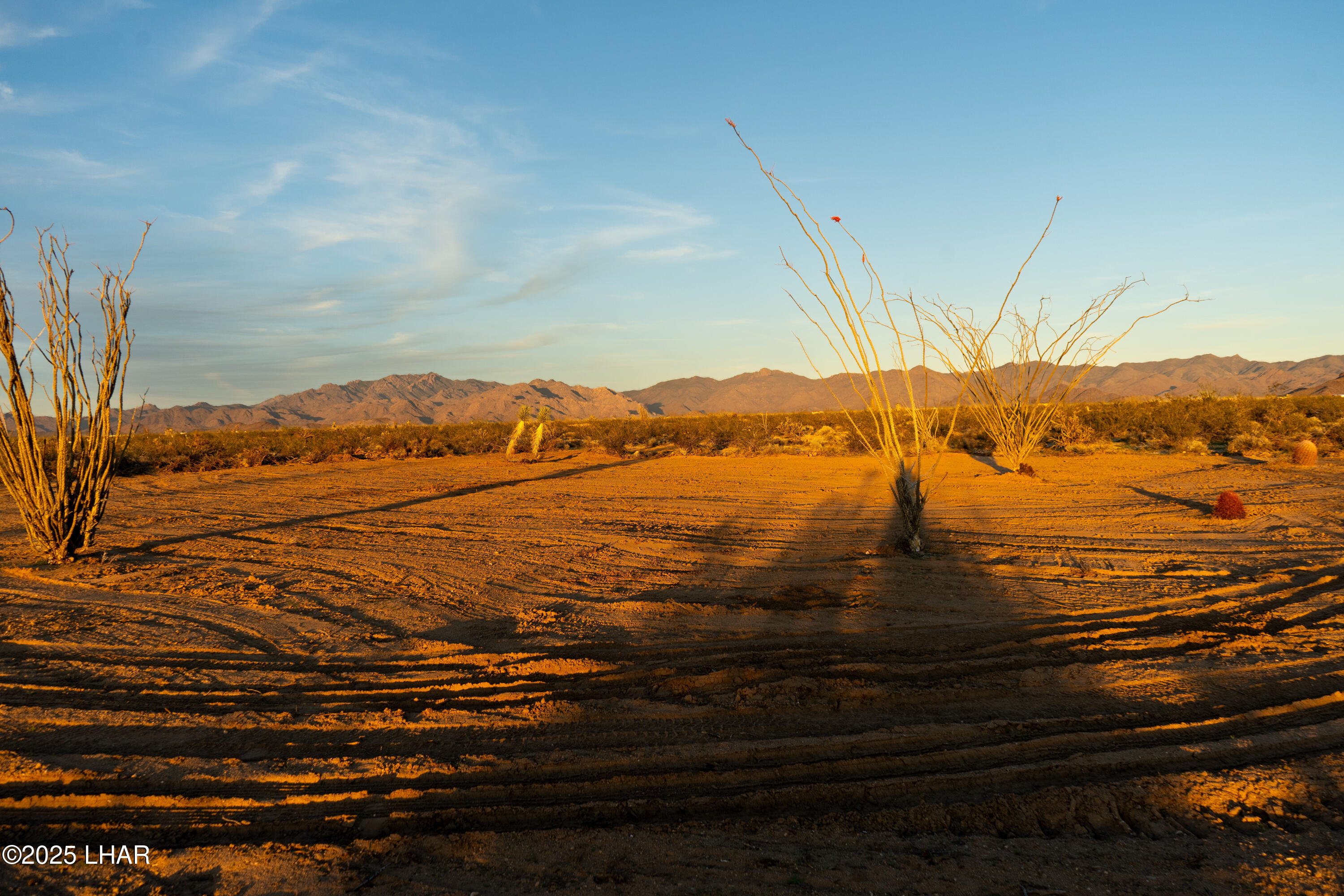 Lot 65 South Cameron Road Yucca, AZ 86438 - Photo 5 of 22