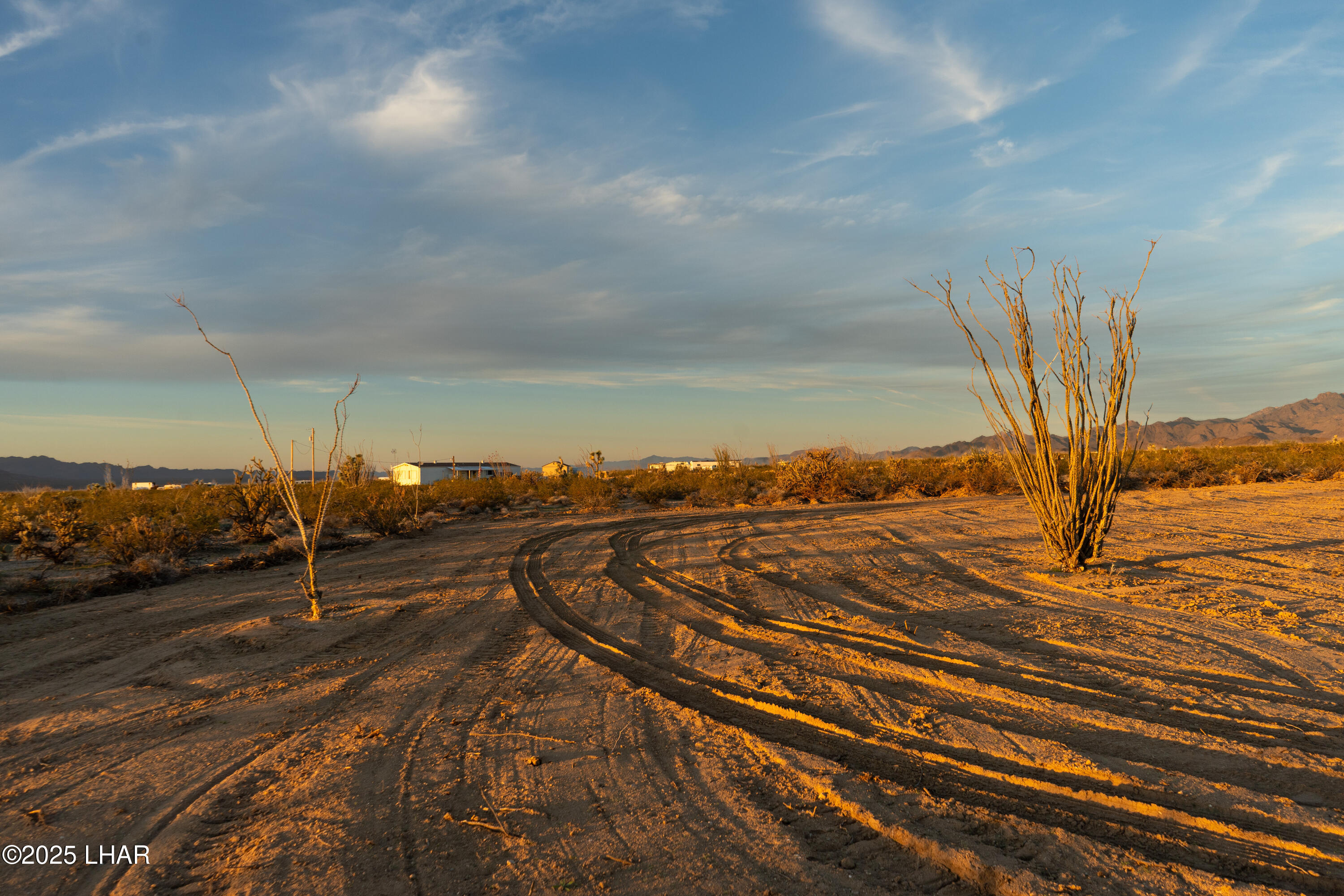 Lot 65 South Cameron Road Yucca, AZ 86438 - Photo 6 of 22