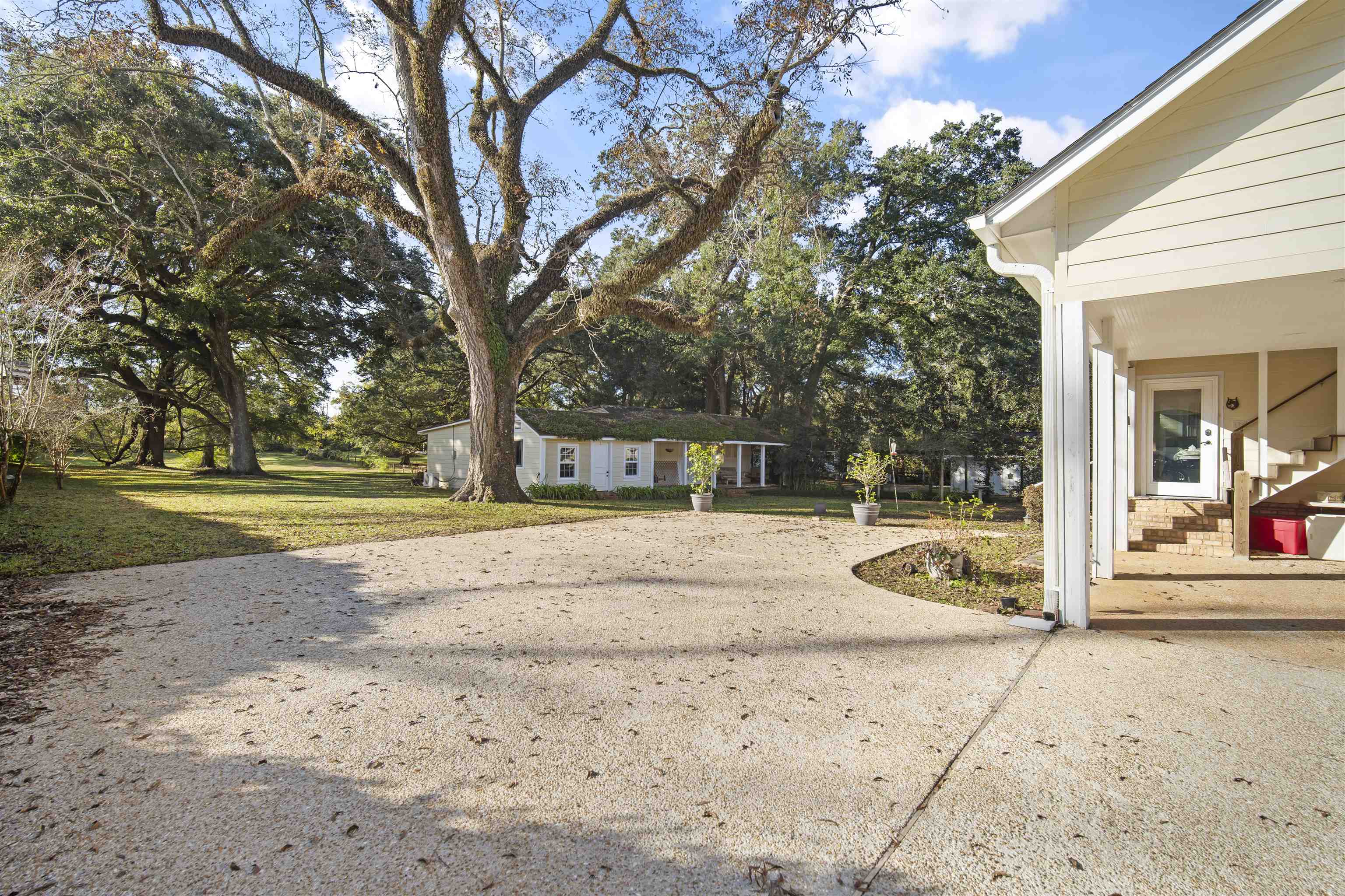 7240 Wood Acres Road Fairhope, AL 36532 - Photo 7 of 21 Yard