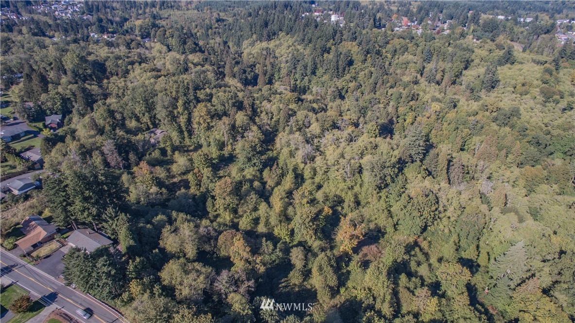 231 Olson Road Longview, WA 98632 - Photo 23 of 24 Gallery Image 23