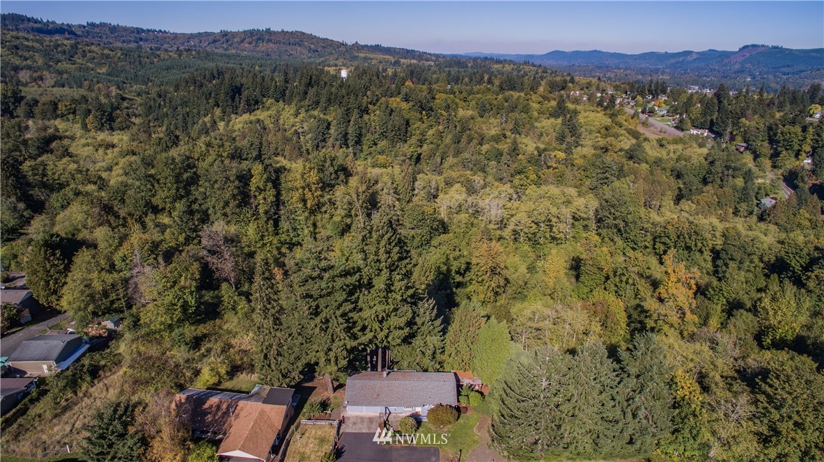 231 Olson Road Longview, WA 98632 - Photo 4 of 24 Gallery Image 4