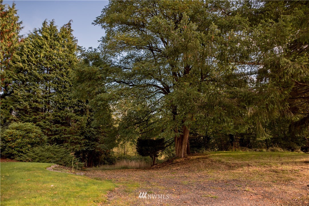 231 Olson Road Longview, WA 98632 - Photo 6 of 24 Gallery Image 6