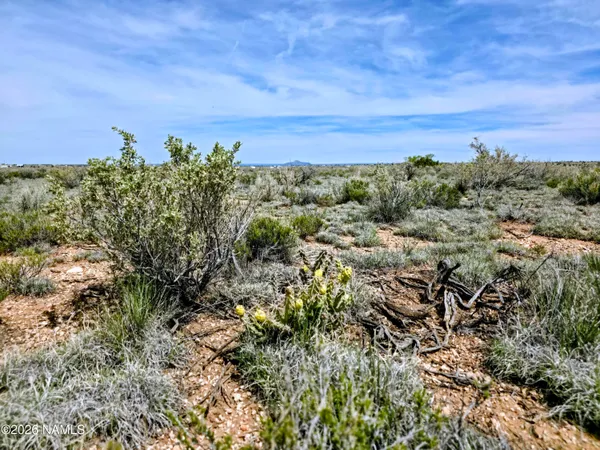 $16,000 | 315 East Rutgers Avenue, Williams, AZ 86046