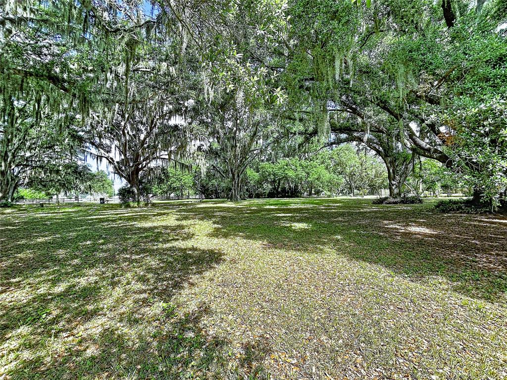 11008 Browning Road Lithia, FL 33547 - Photo 10 of 88