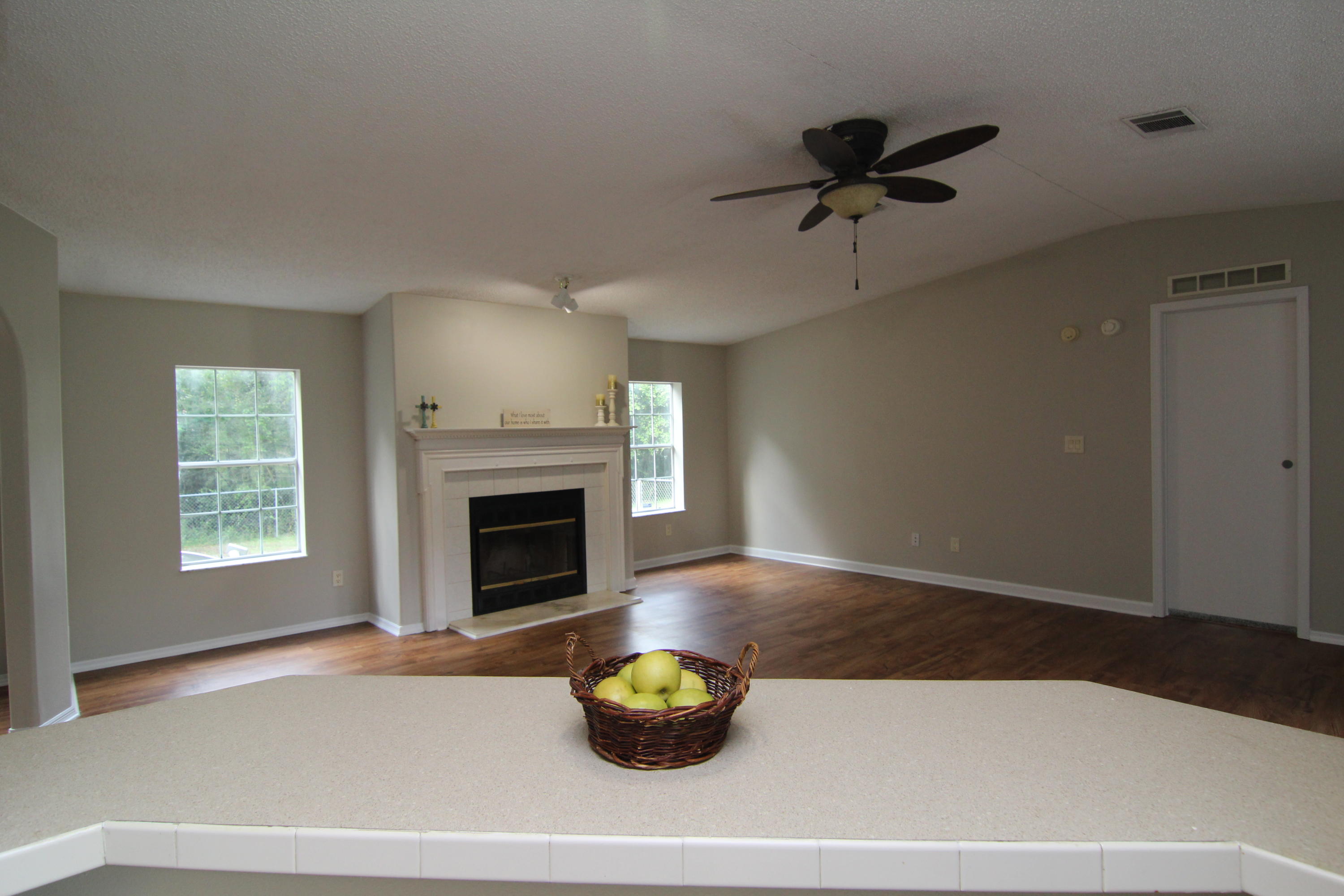 201 Charlie Brown Road DeFuniak Springs, FL 32435 - Photo 3 of 23 Gallery Image 3