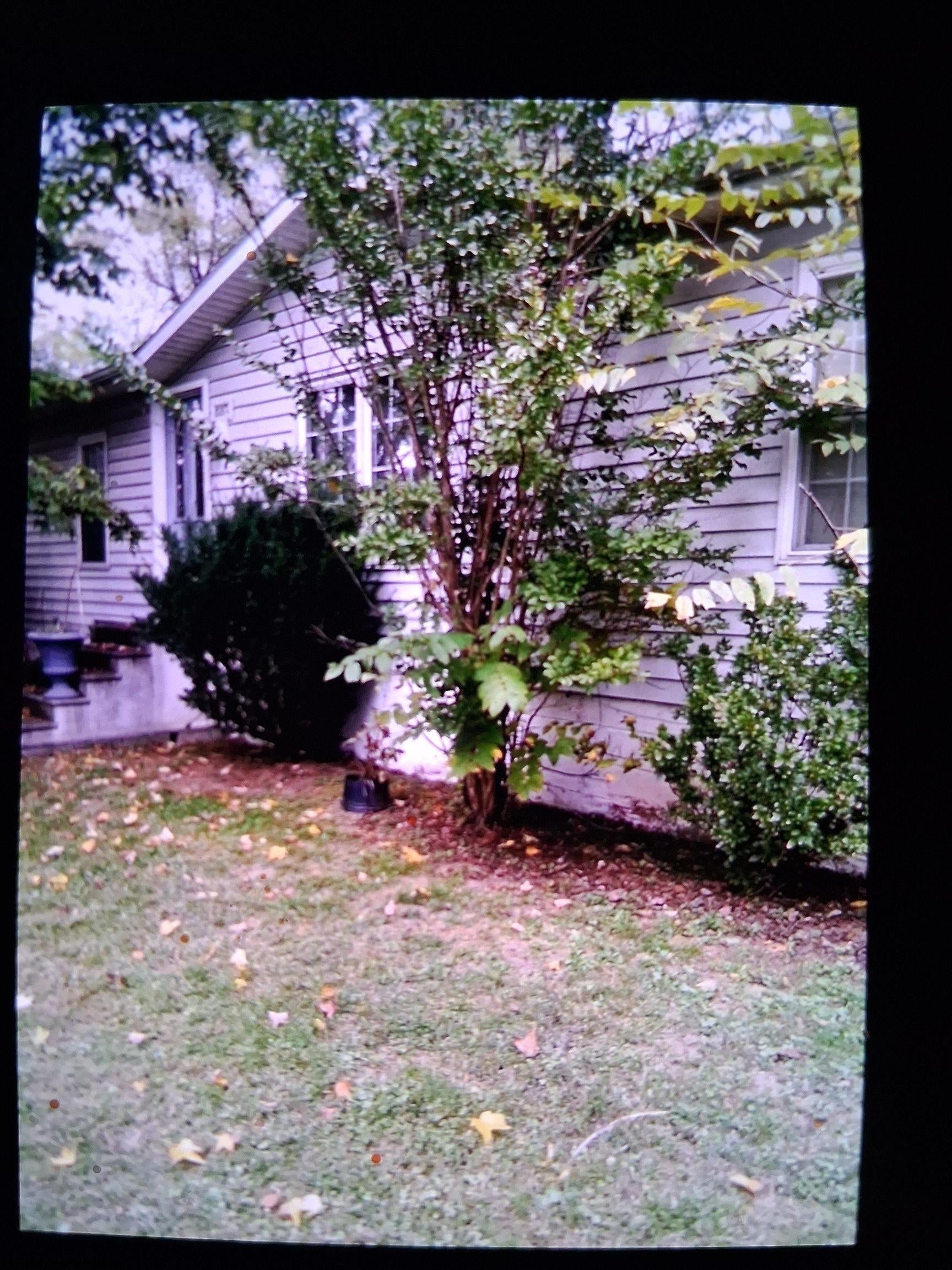 577 Arnoldsburg Road Spencer, WV 25276 - Photo 1 of 5 Gallery Image 1