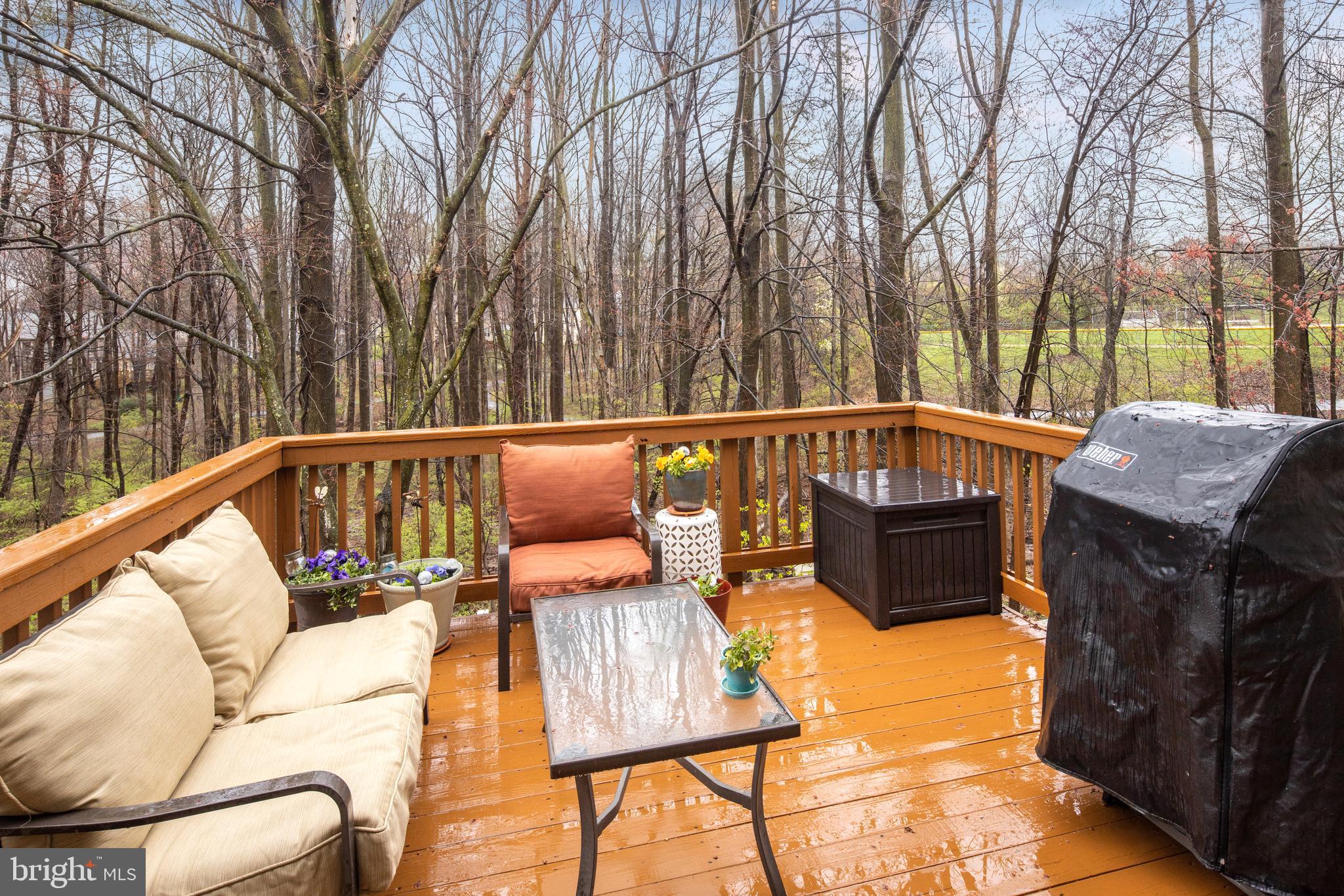 1661 Fieldthorn Drive Reston, VA 20194 - Photo 30 of 34 Gallery Image 30