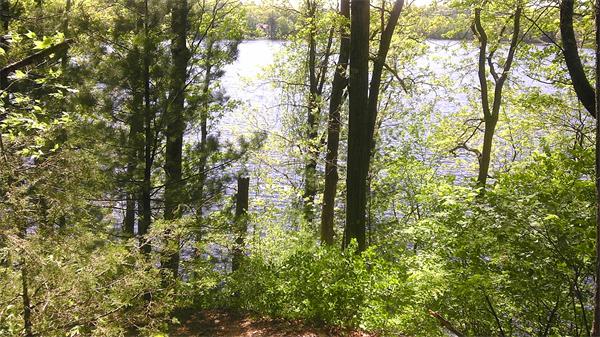 97 Russell Road Wellesley, MA 02482 - Photo 2 of 7