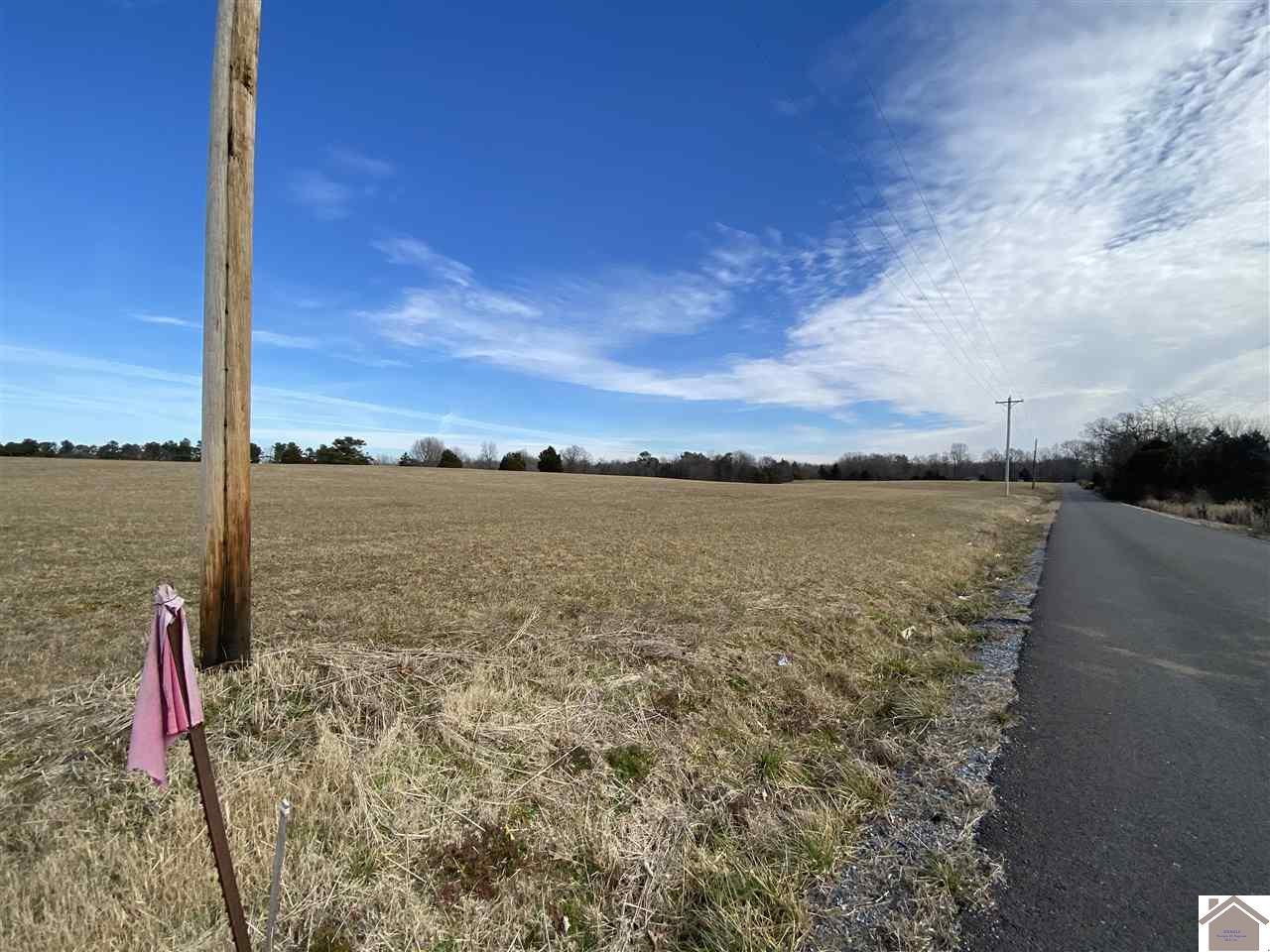 13.45-acres On Slaughter Road Benton, KY 42025 - Photo 1 of 1 View down slaughter road