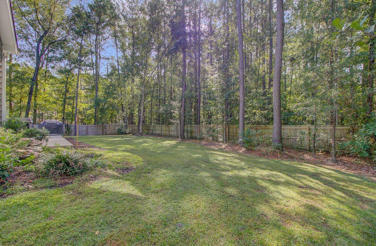 1015 Deep Gap Road Ridgeville, SC 29472 - Photo 48 of 56 Backyard