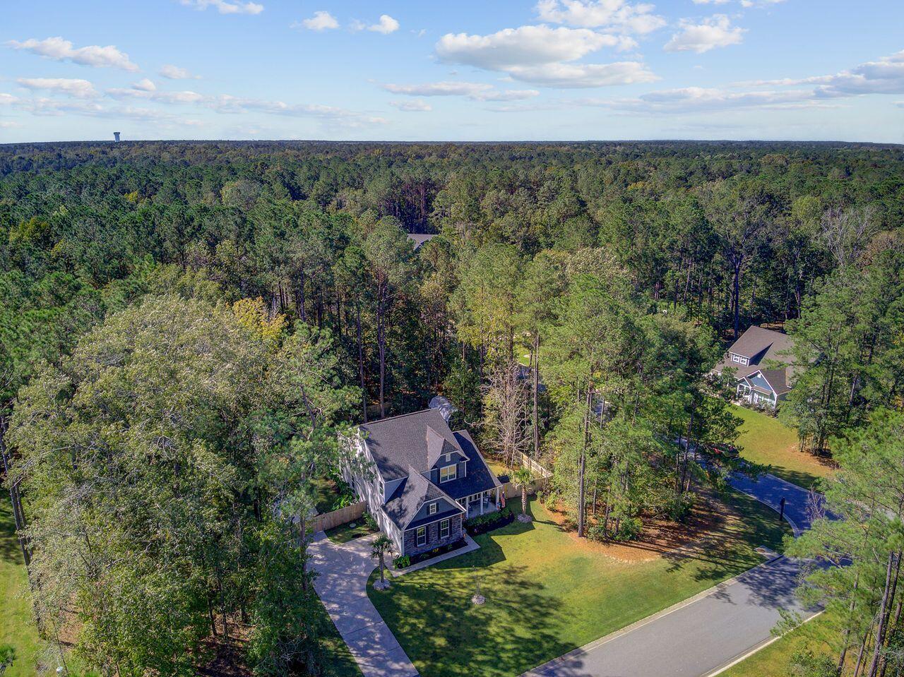 1015 Deep Gap Road Ridgeville, SC 29472 - Photo 53 of 56 Left View