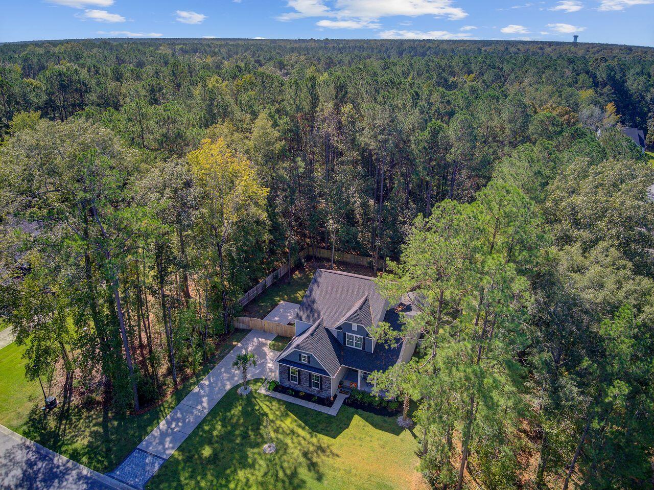 1015 Deep Gap Road Ridgeville, SC 29472 - Photo 54 of 56 Right View