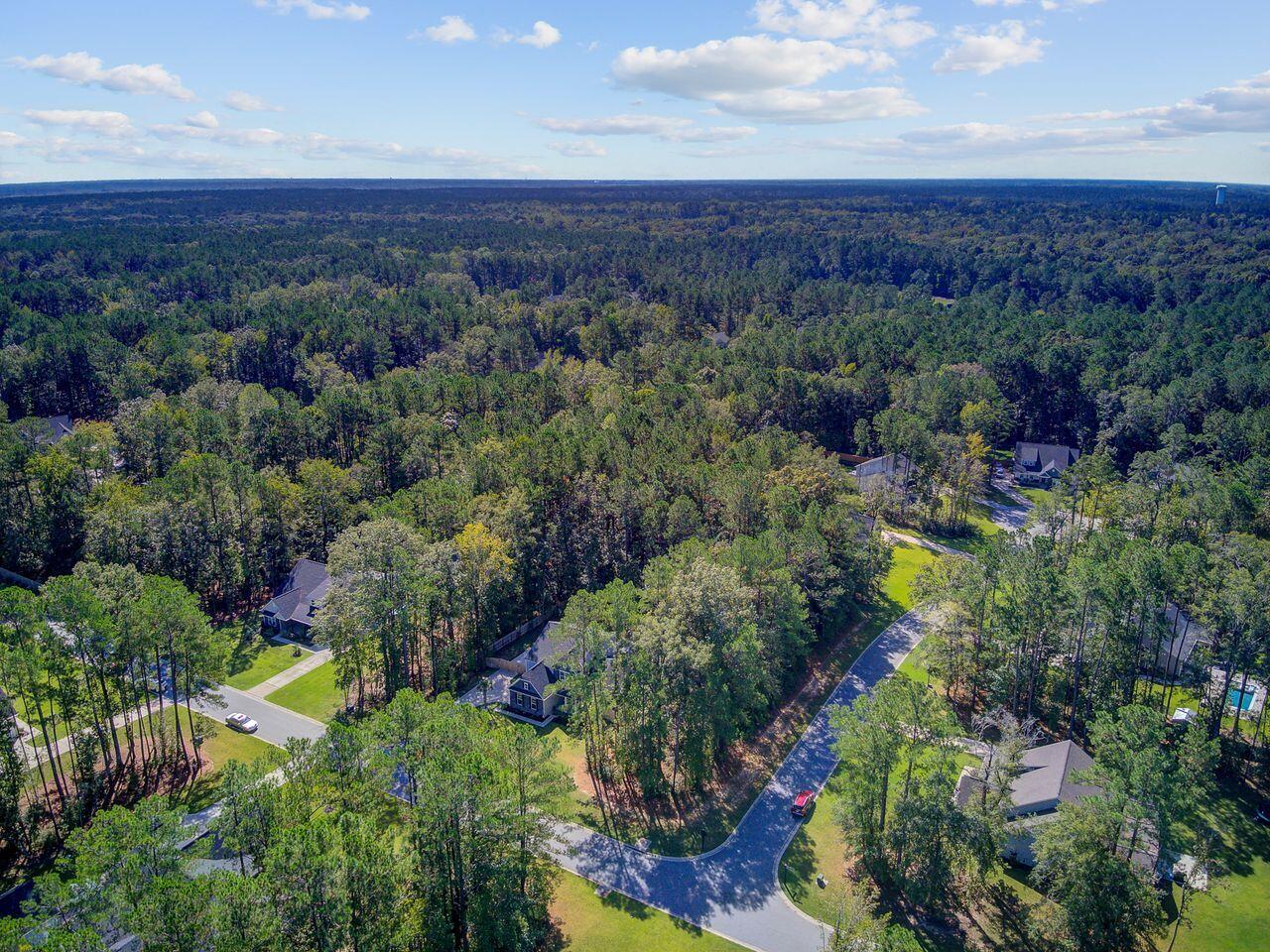 1015 Deep Gap Road Ridgeville, SC 29472 - Photo 56 of 56 Right View