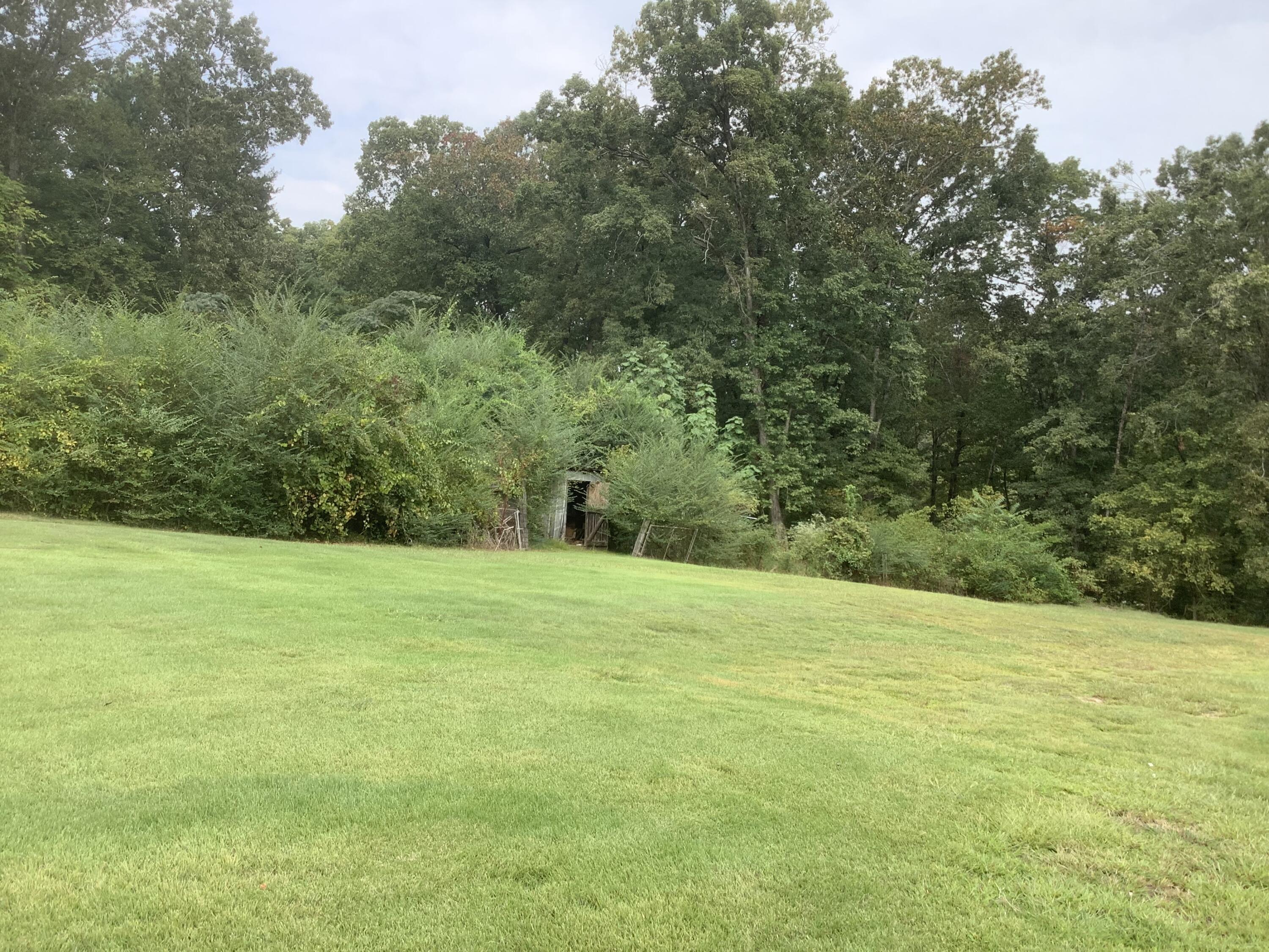 8725 Walnut Road Hixson, TN 37343 - Photo 4 of 55 IMG_5098