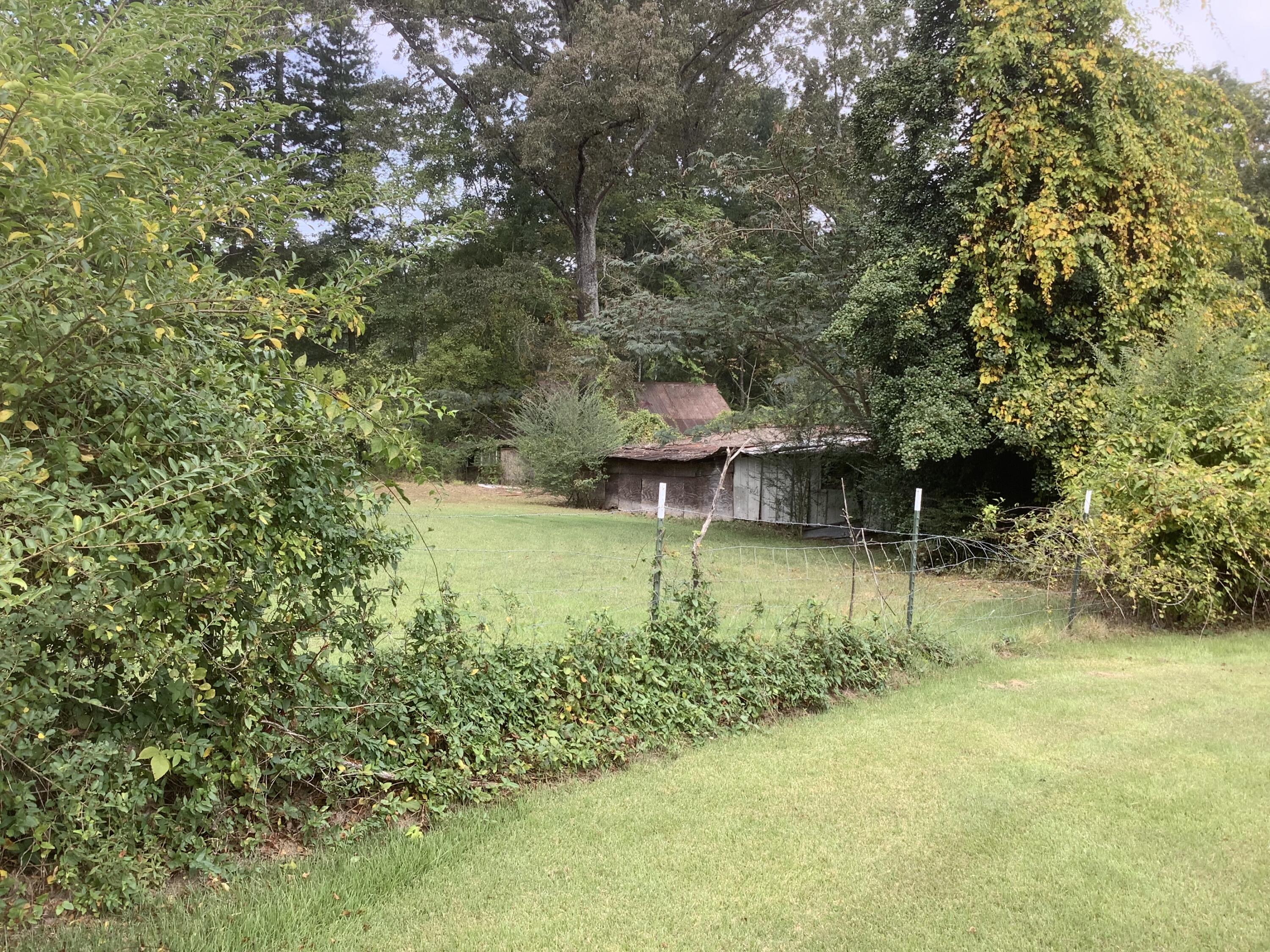 8725 Walnut Road Hixson, TN 37343 - Photo 7 of 55 IMG_5101