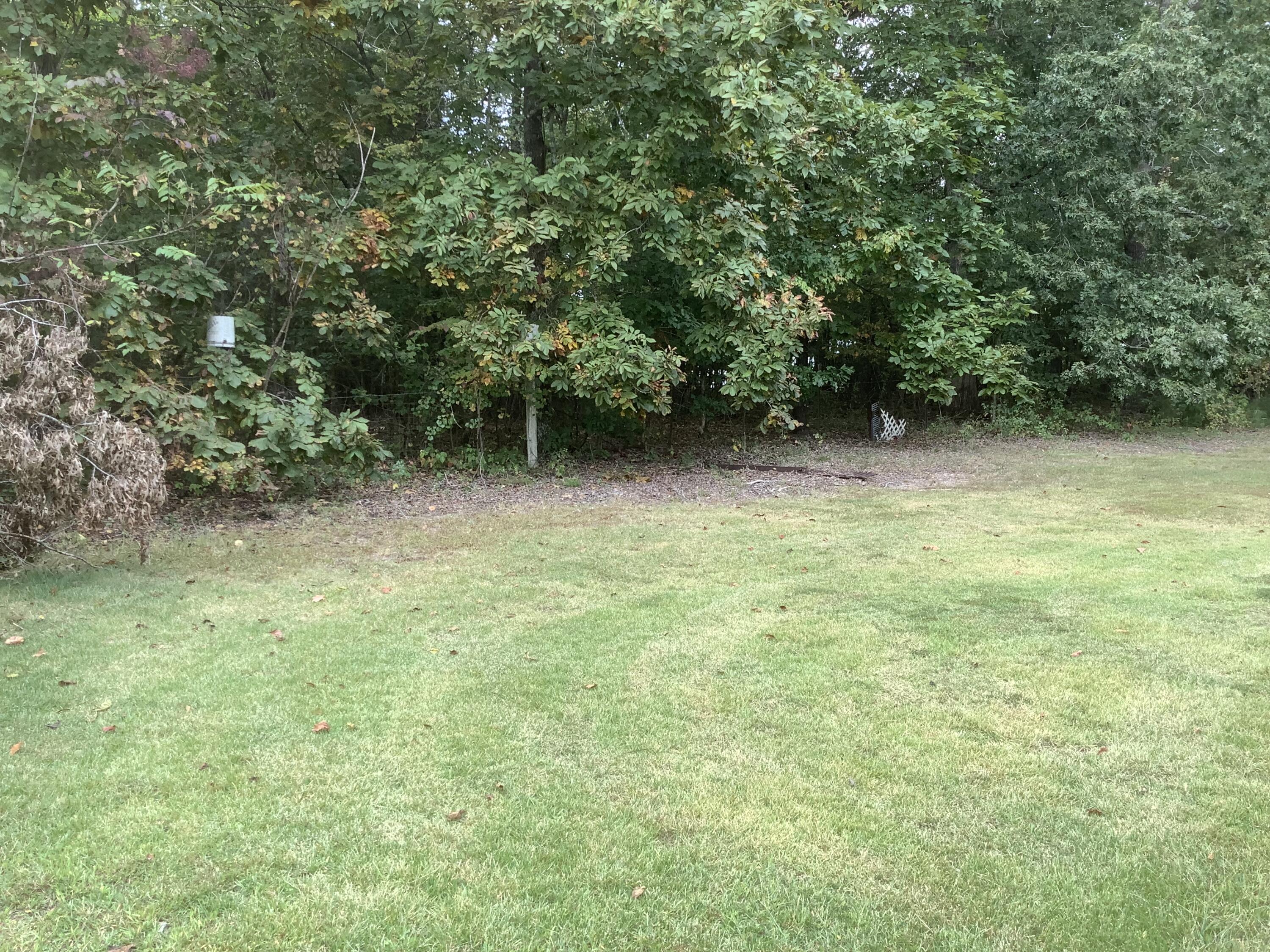 8725 Walnut Road Hixson, TN 37343 - Photo 10 of 55 IMG_5103