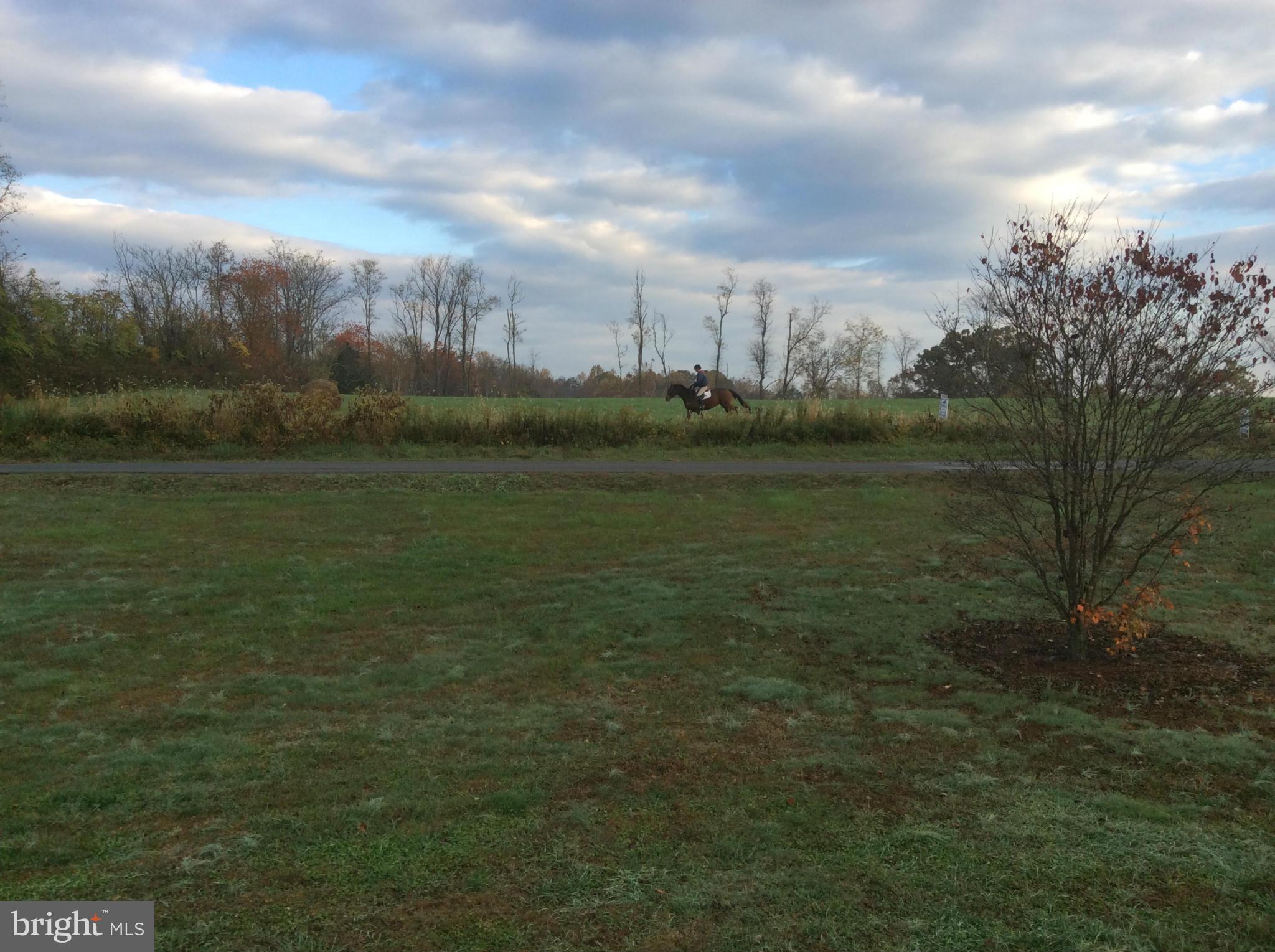 6130 Griffinsburg Road Boston, VA 22713 - Photo 16 of 16 View