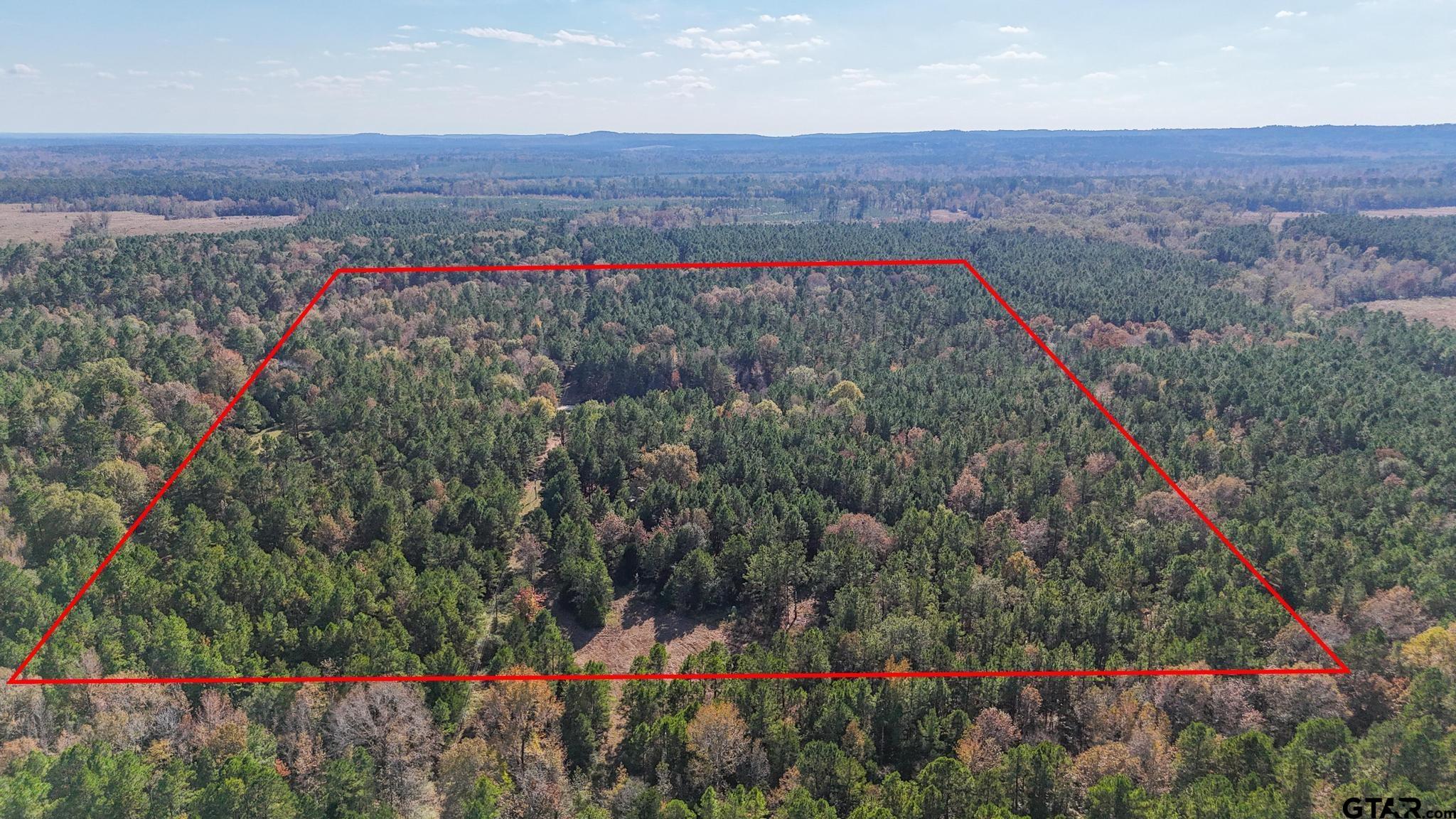 748 County Road Rusk, TX 75785 - Photo 2 of 40