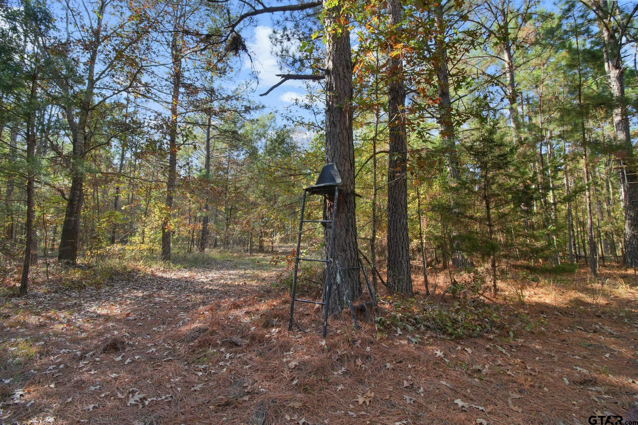 748 County Road Rusk, TX 75785 - Photo 26 of 40