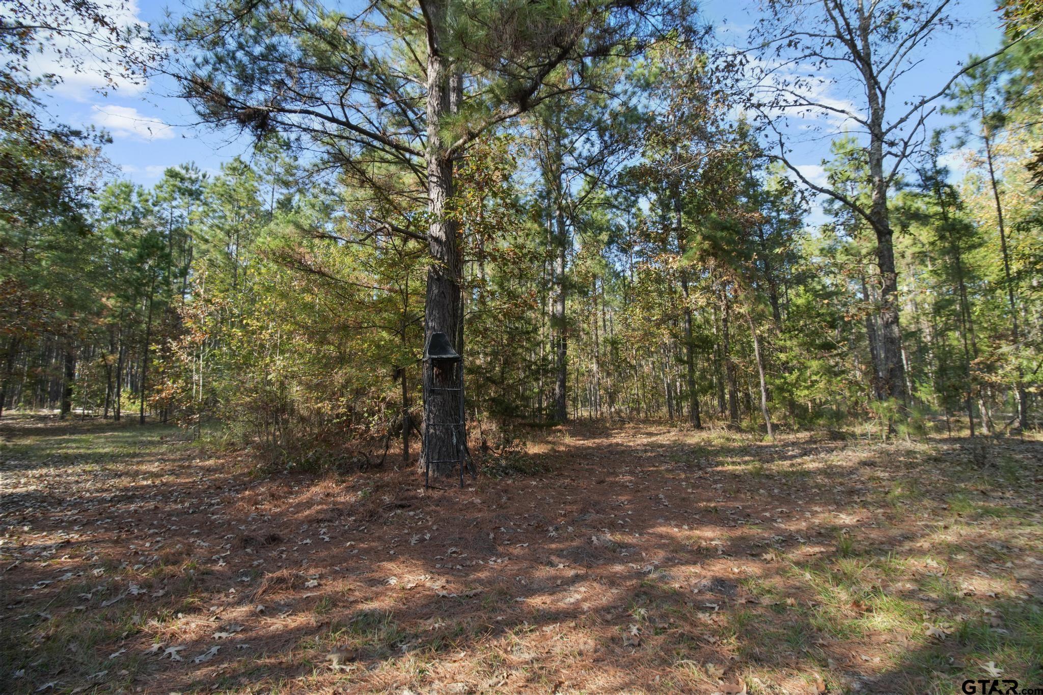 748 County Road Rusk, TX 75785 - Photo 27 of 40