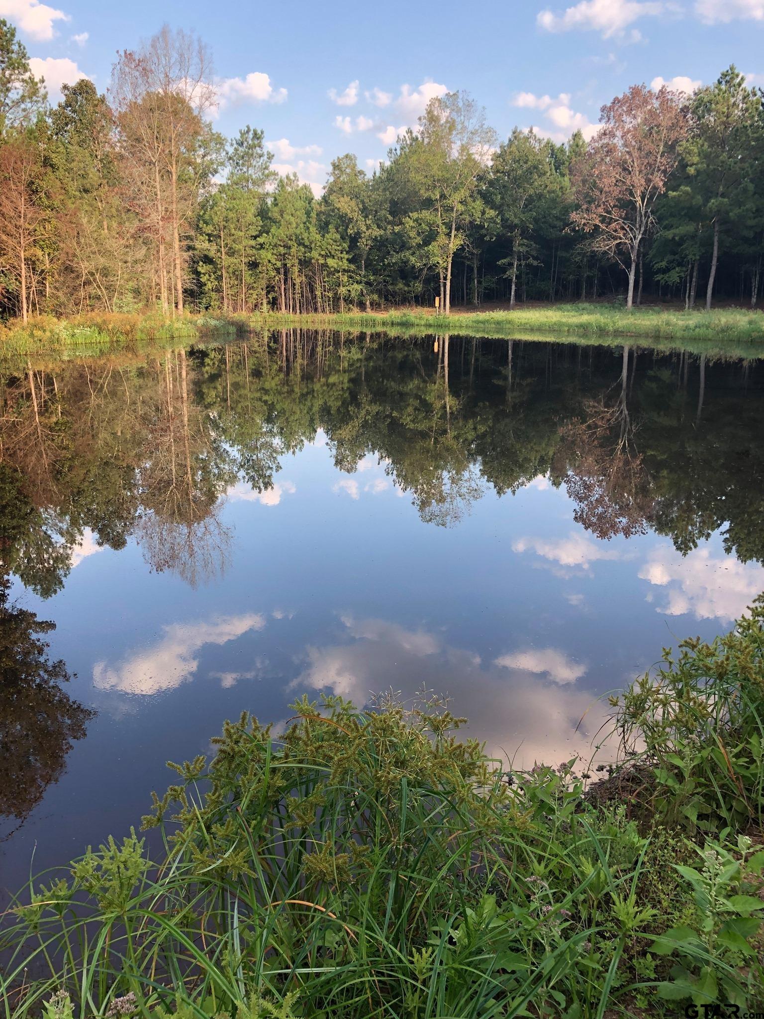 748 County Road Rusk, TX 75785 - Photo 28 of 40 a view of a lake with a yard
