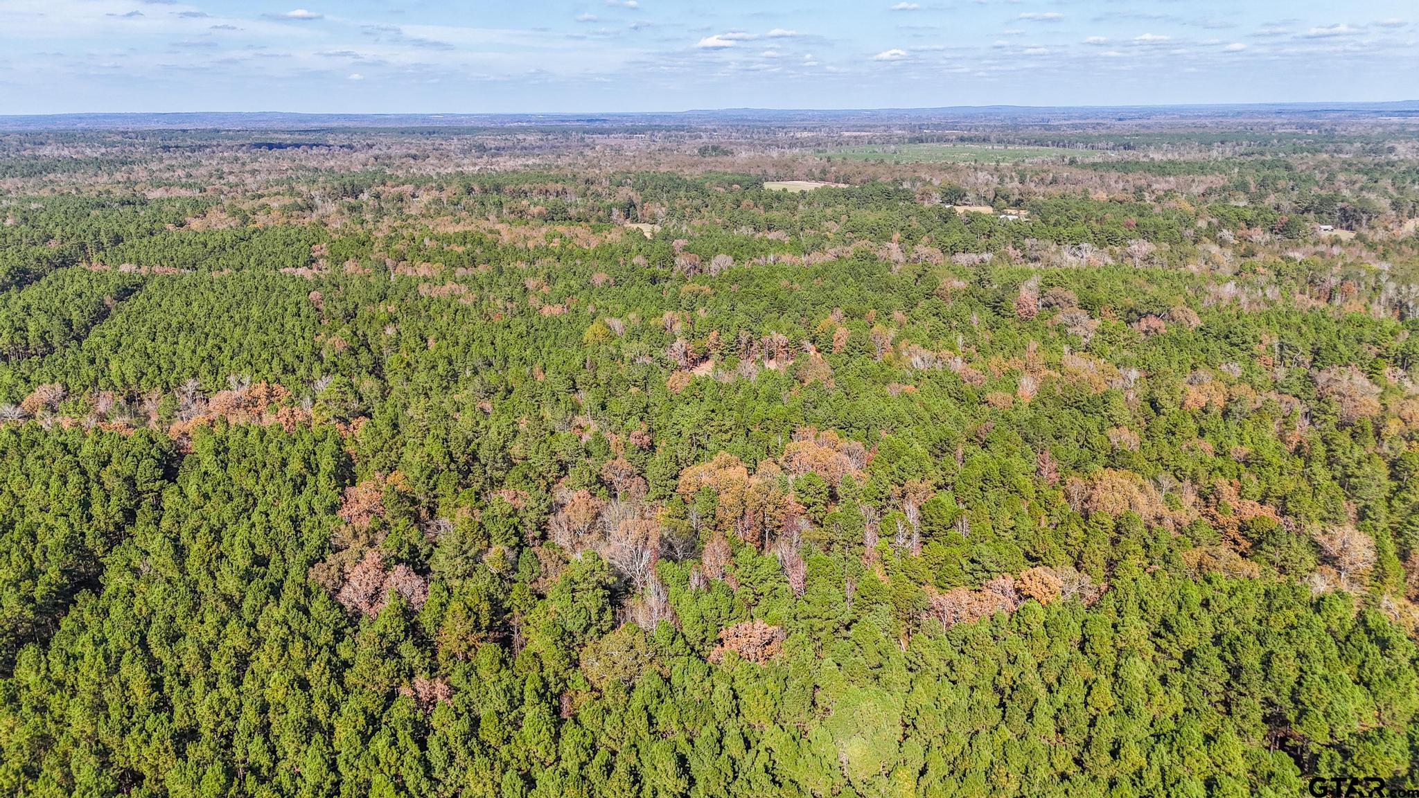 748 County Road Rusk, TX 75785 - Photo 29 of 40