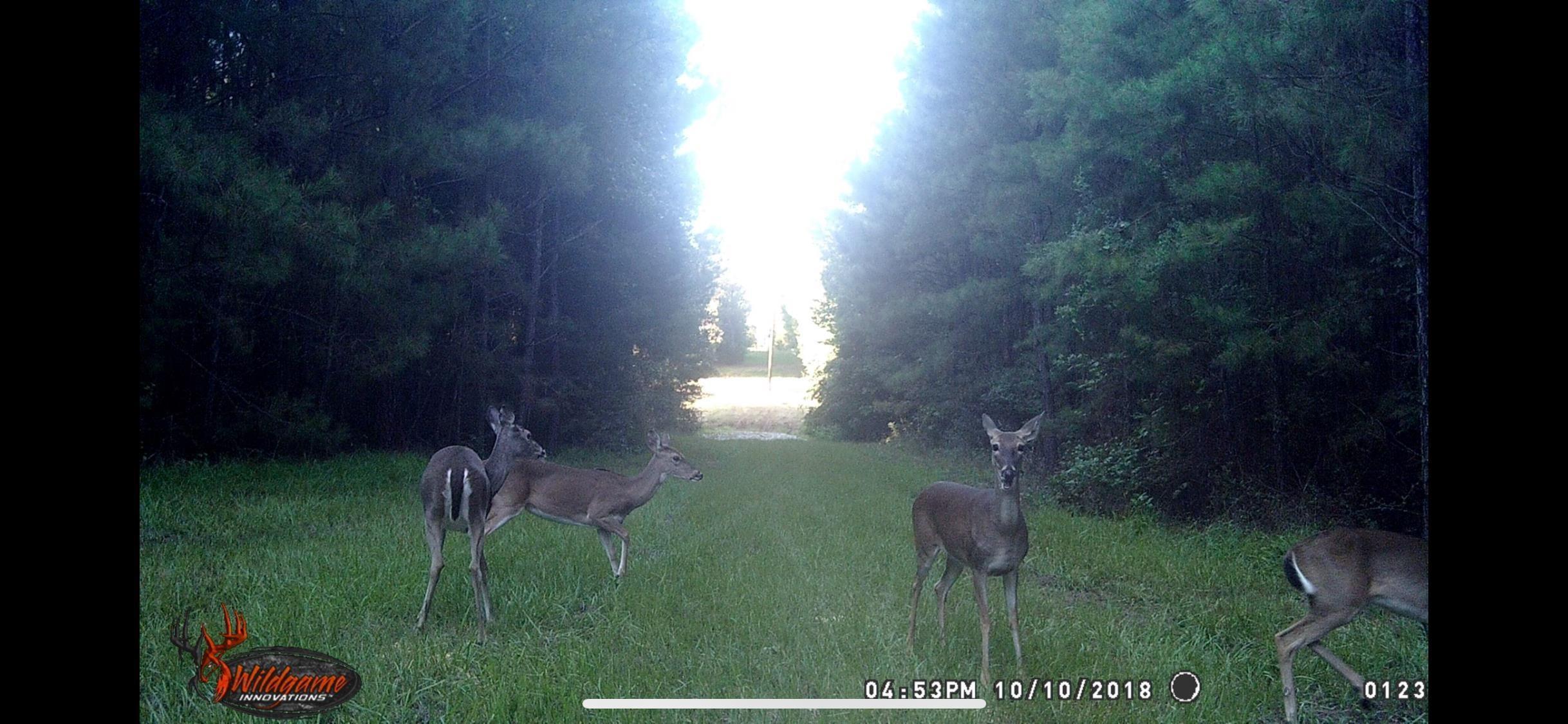 748 County Road Rusk, TX 75785 - Photo 33 of 40