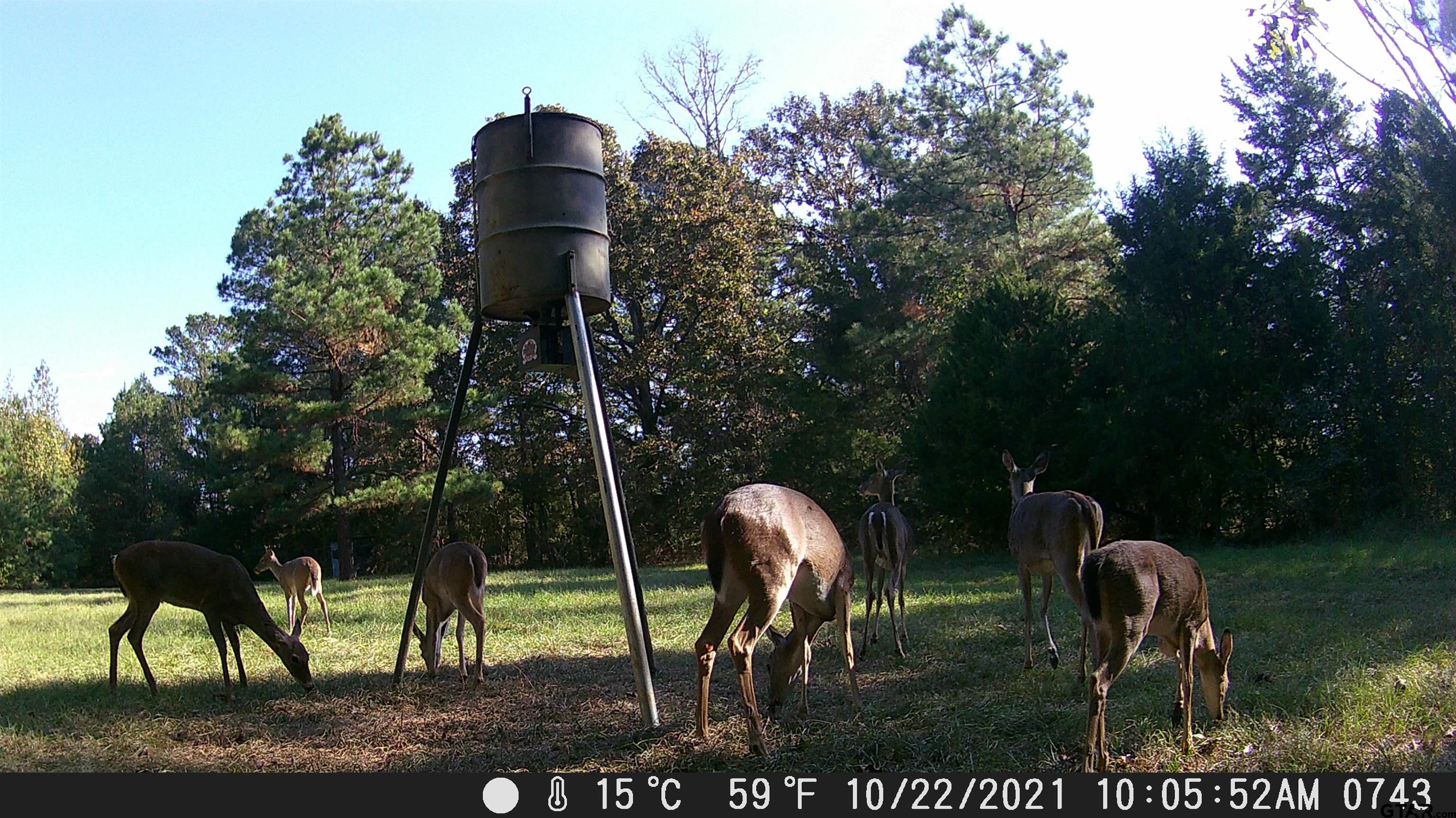 748 County Road Rusk, TX 75785 - Photo 34 of 40