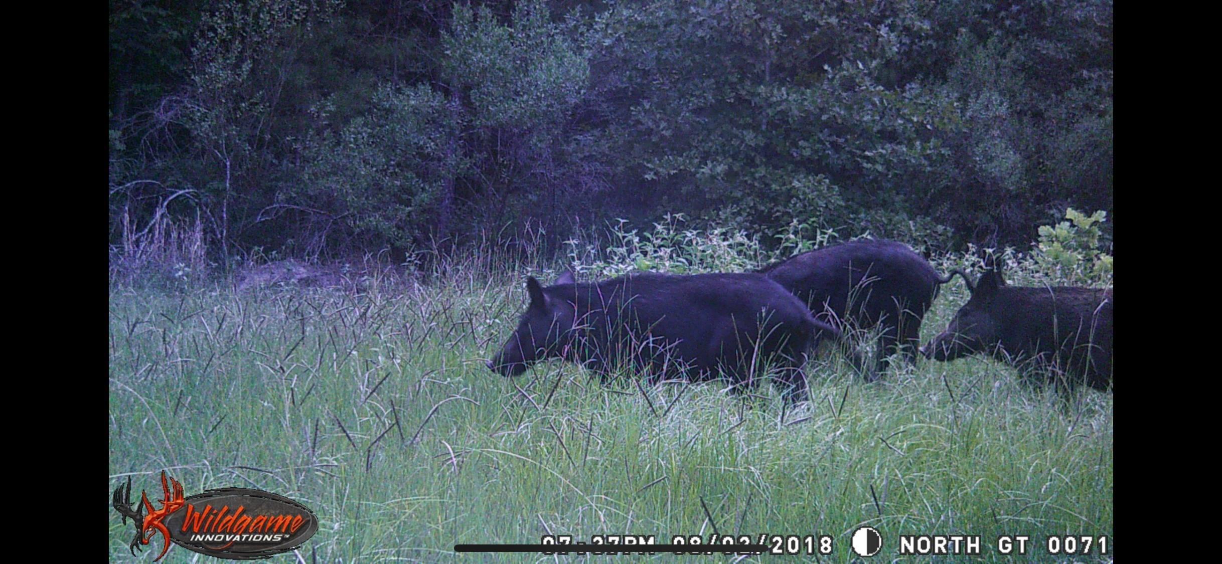 748 County Road Rusk, TX 75785 - Photo 35 of 40