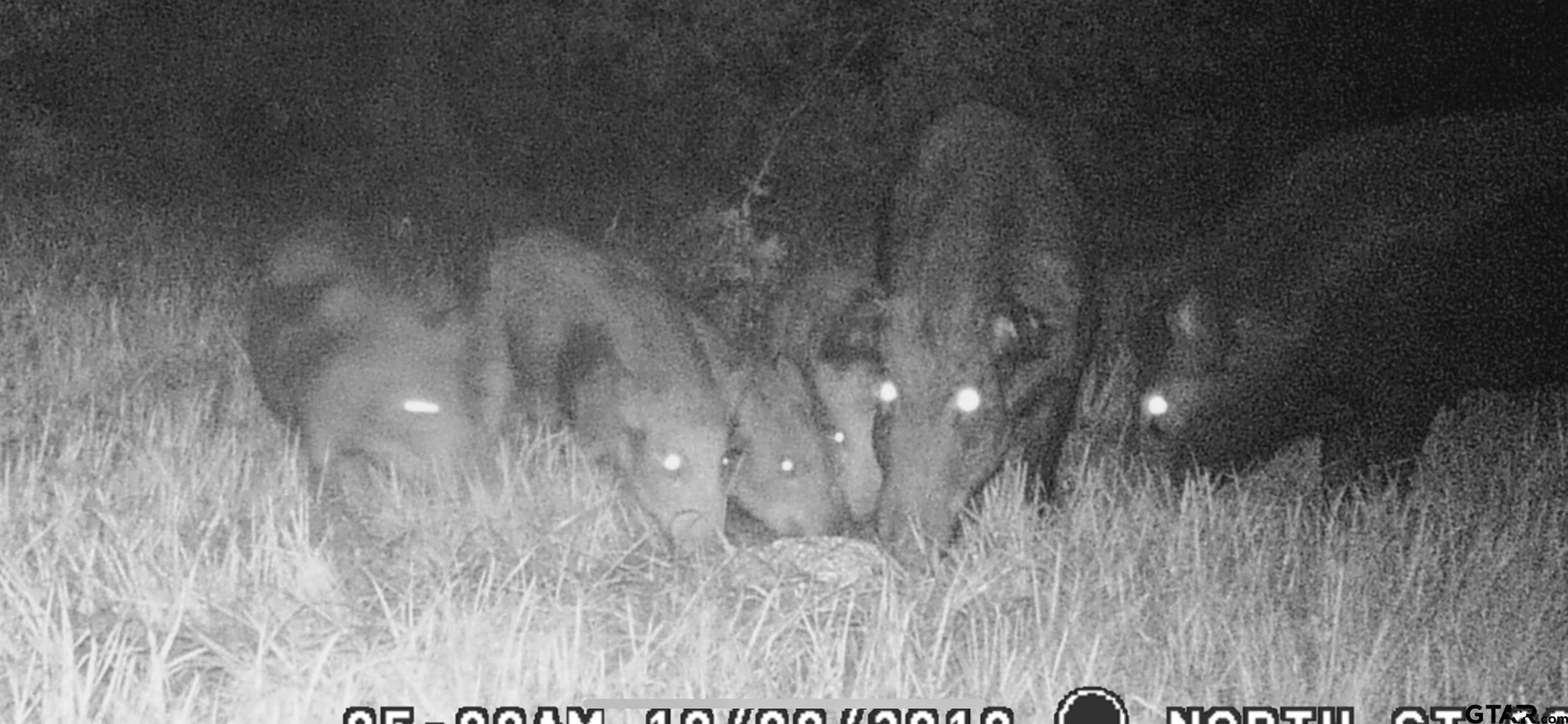 748 County Road Rusk, TX 75785 - Photo 36 of 40