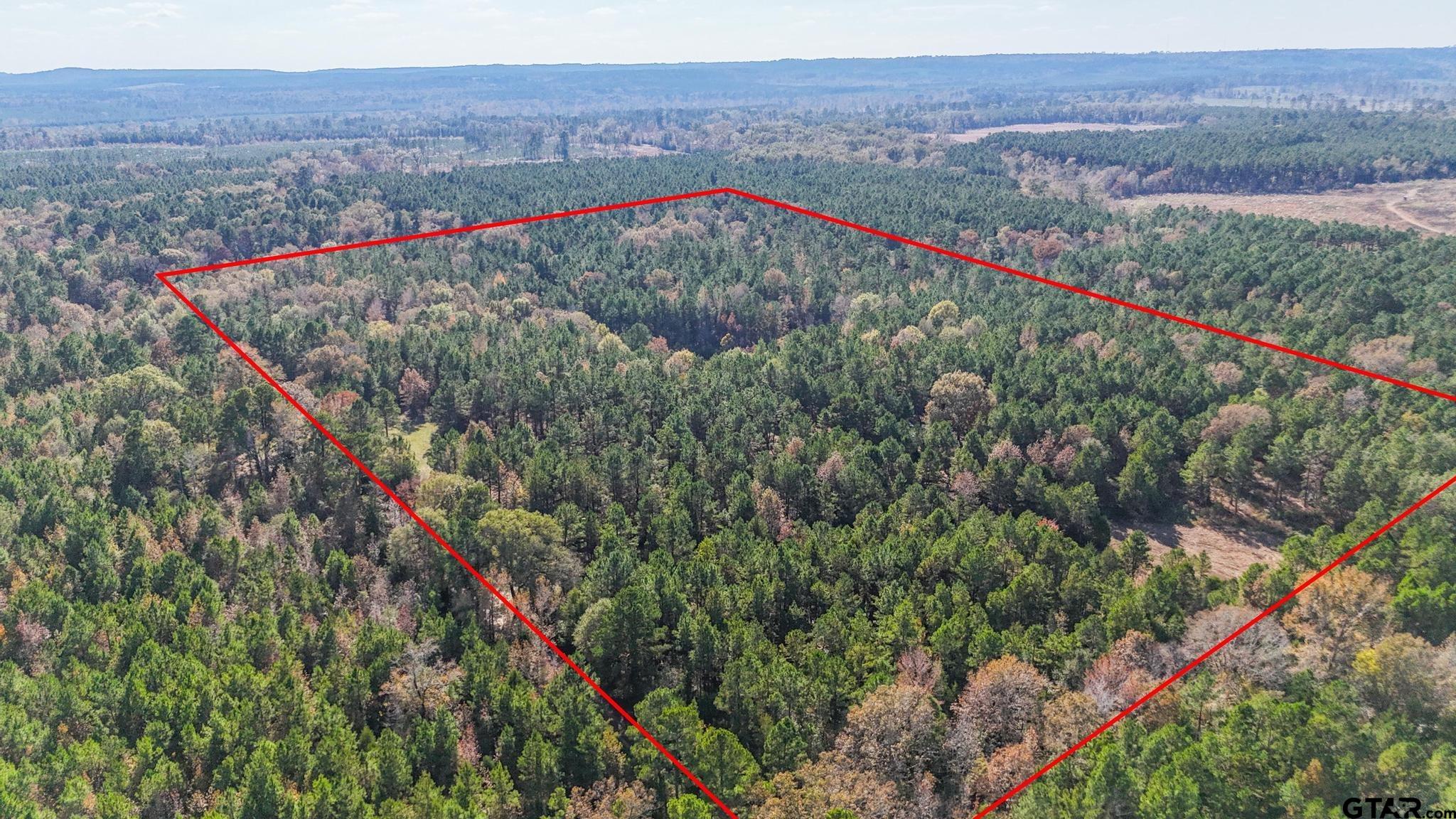 748 County Road Rusk, TX 75785 - Photo 40 of 40