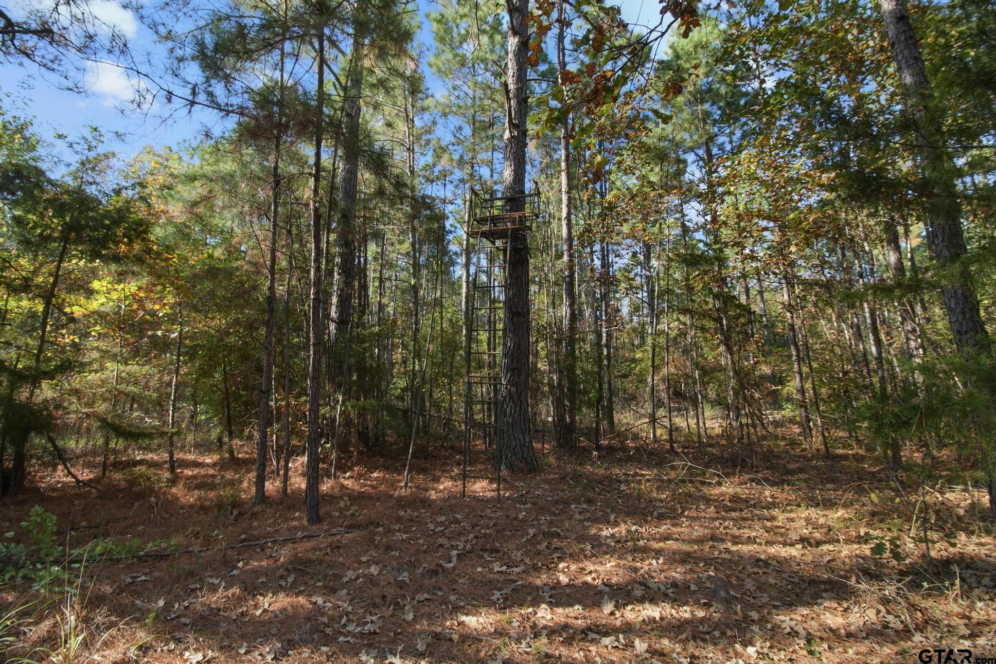 748 County Road Rusk, TX 75785 - Photo 5 of 40