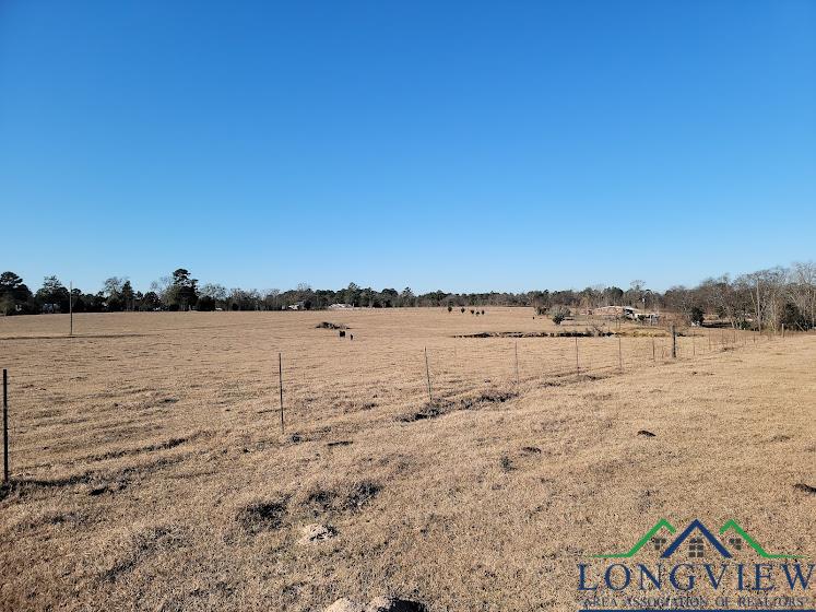 3372 Red Maple Road Big Sandy, TX 75755 - Photo 10 of 34 Gallery Image 10