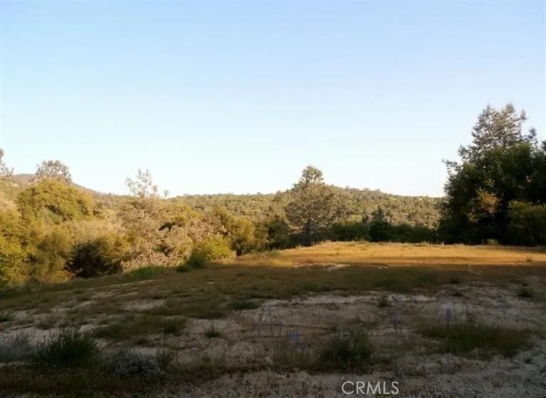 37 Lynx Prather, CA 93651 - Photo 1 of 64