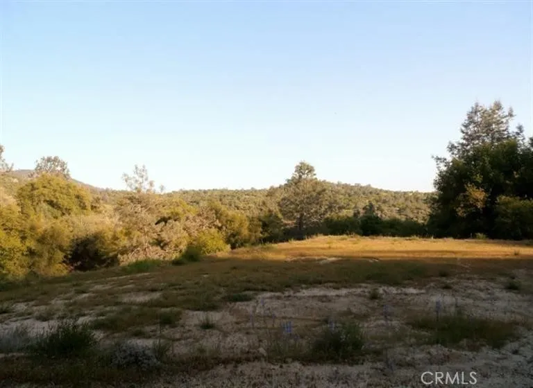 37 Lynx Prather, CA 93651 - Photo 11 of 64 a view of mountain and field