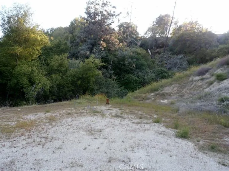 37 Lynx Prather, CA 93651 - Photo 12 of 64 a view of a dirt road with trees in the background