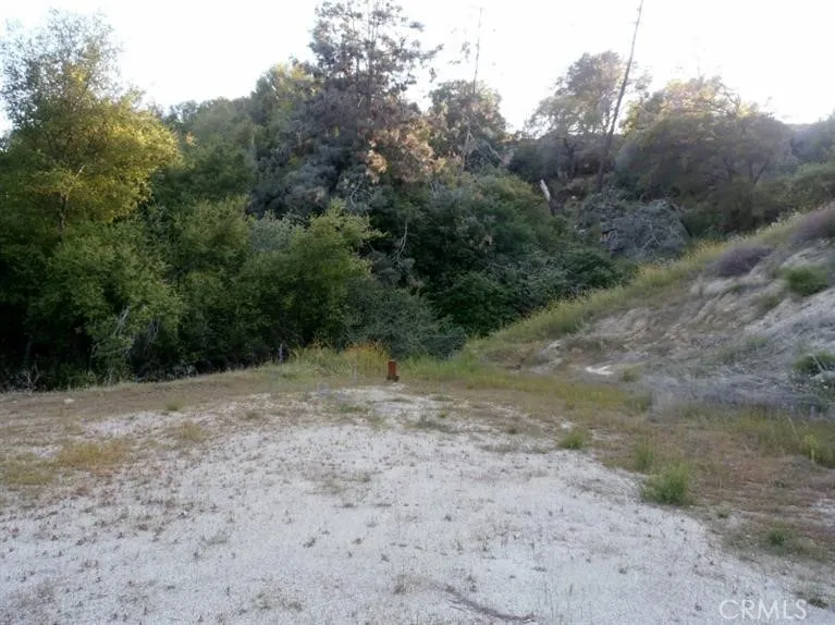 37 Lynx Prather, CA 93651 - Photo 12 of 64