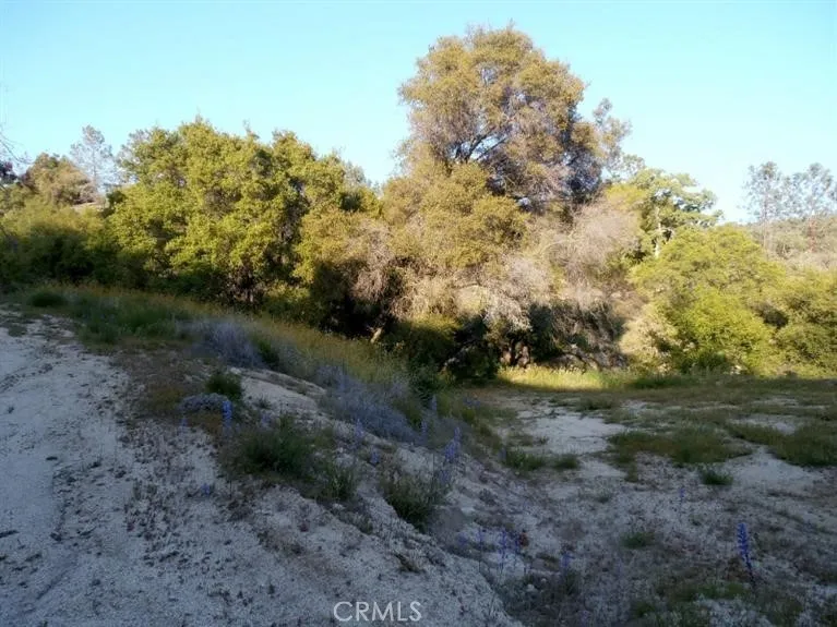 37 Lynx Prather, CA 93651 - Photo 13 of 64 a big yard with lots of green space