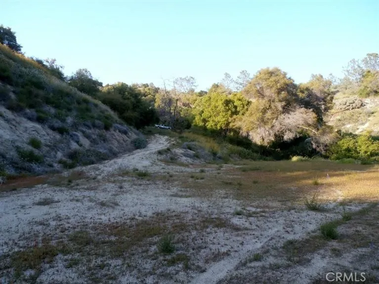 37 Lynx Prather, CA 93651 - Photo 15 of 64 a view of a dry yard with trees
