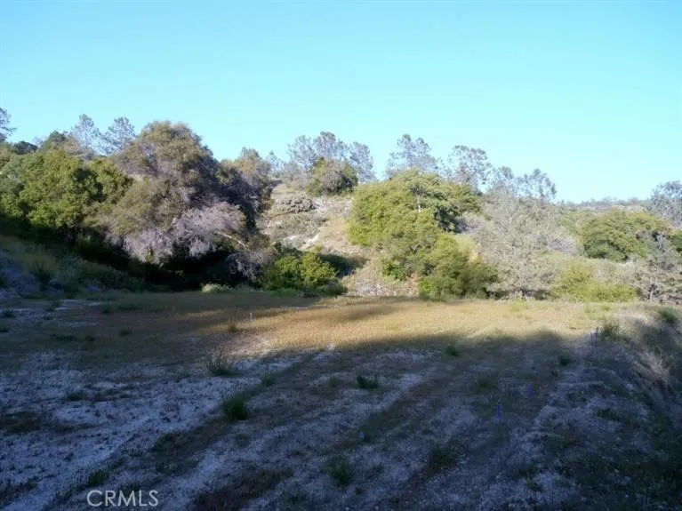 37 Lynx Prather, CA 93651 - Photo 16 of 64