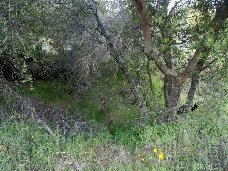 37 Lynx Prather, CA 93651 - Photo 17 of 64