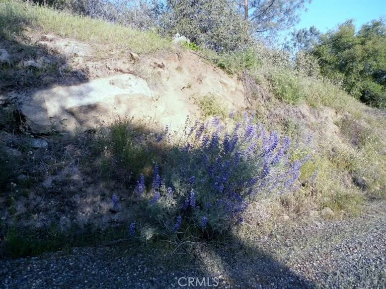 37 Lynx Prather, CA 93651 - Photo 19 of 64