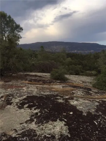 a view of a city with lush green forest