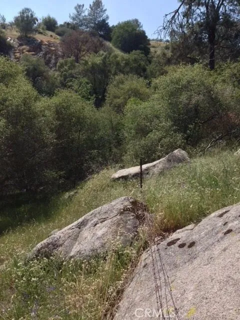 37 Lynx Prather, CA 93651 - Photo 22 of 64 a backyard of a house with lots of green space