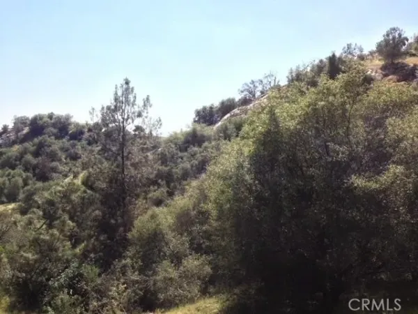 a view of a forest with a sink