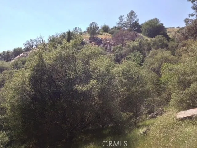 37 Lynx Prather, CA 93651 - Photo 24 of 64