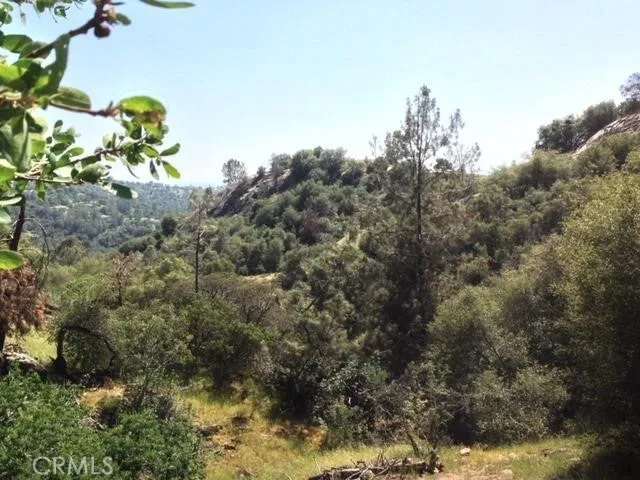 37 Lynx Prather, CA 93651 - Photo 25 of 64