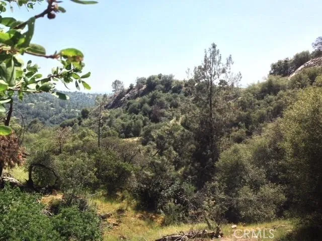37 Lynx Prather, CA 93651 - Photo 25 of 64