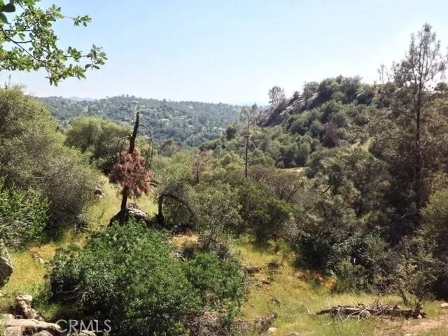 37 Lynx Prather, CA 93651 - Photo 26 of 64 a view of a yard