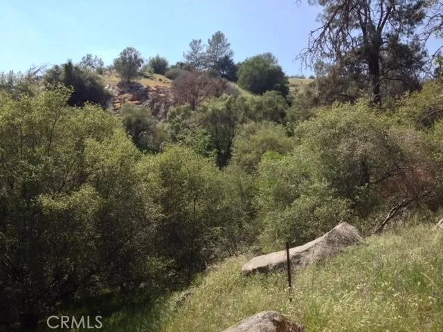37 Lynx Prather, CA 93651 - Photo 27 of 64